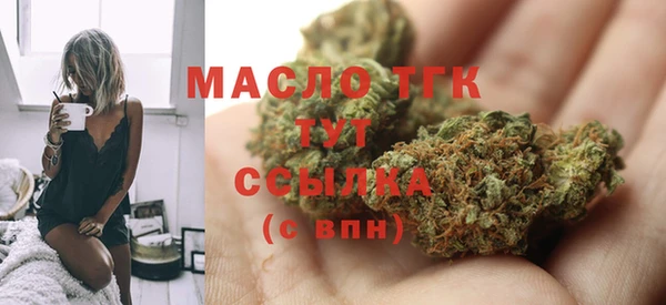 индика Инсар