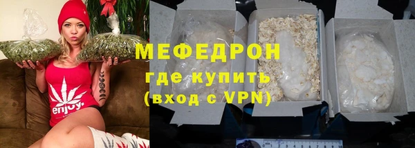 индика Инсар