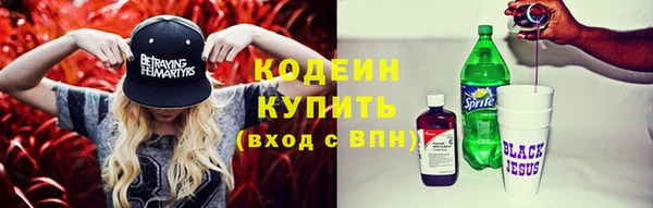 индика Карталы