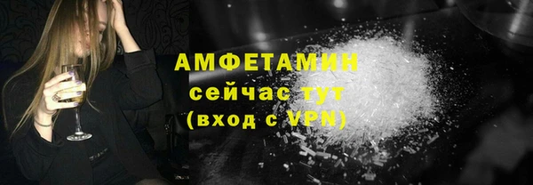 индика Инсар