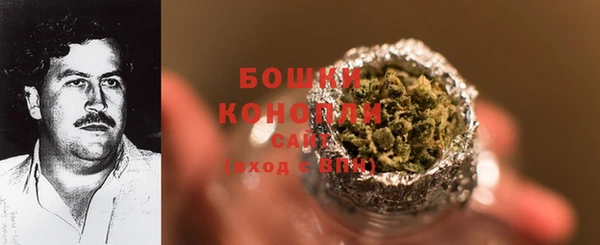 индика Карталы
