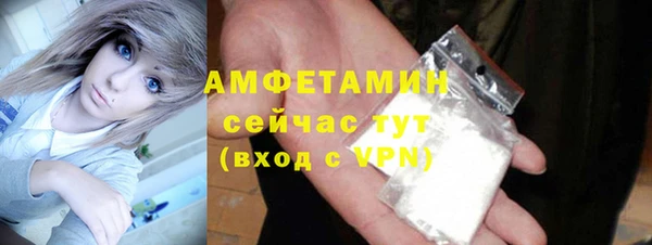 индика Инсар