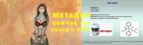 индика Инсар
