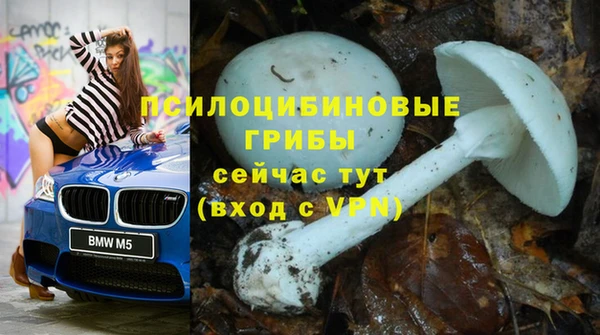 индика Инсар