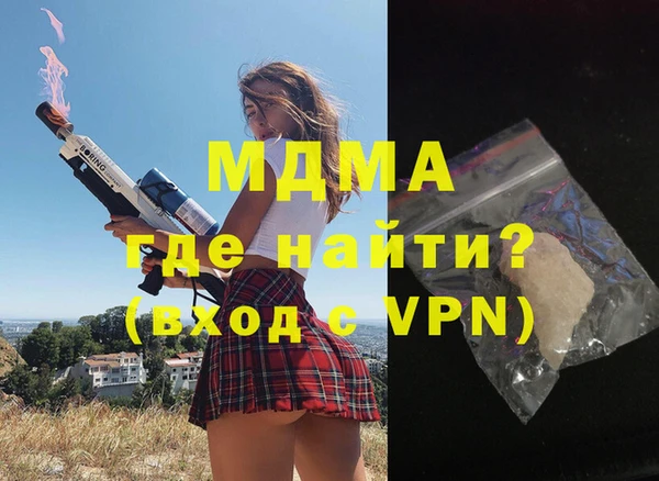 индика Инсар