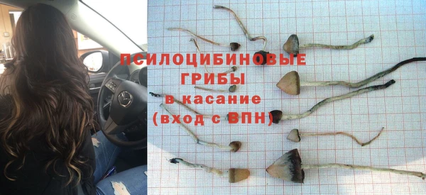 индика Инсар