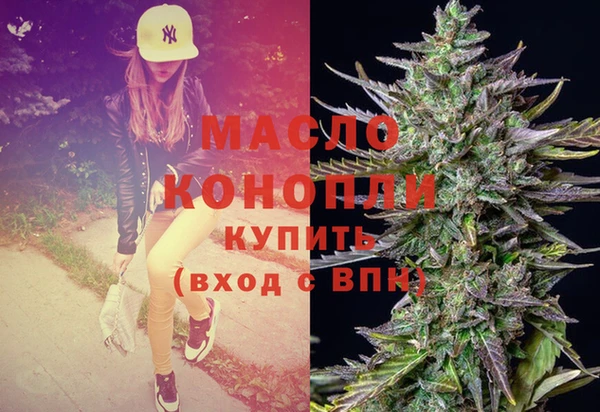 индика Инсар