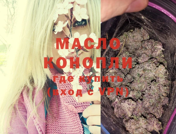 индика Инсар