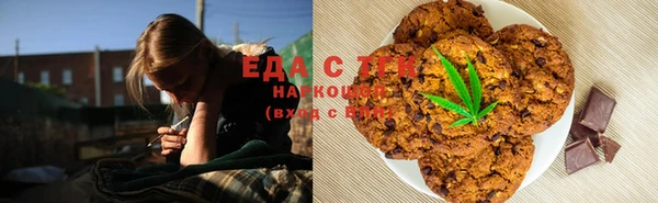 индика Инсар