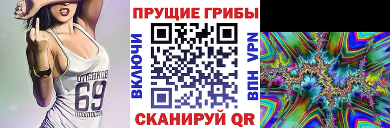 Галлюциногенные грибы Psilocybe  Константиновск 
